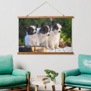 Drei Niedliche Papillon Puppas Wandteppich Mit Holzrahmen