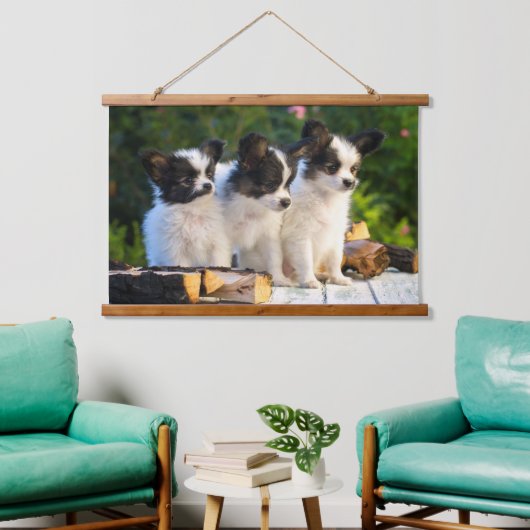 Drei Niedliche Papillon Puppas Wandteppich Mit Holzrahmen (Wohnzimmer)