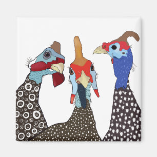 Drei Niedliche Vögel Gemusterter Guinea Magnet