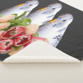 drei niedliche weisse Wellensittiche Sherpadecke (3/4)