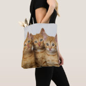 Drei niedliches Ingwer-Katzen-Kätzchen-Foto - auf Tasche (Von Nahem)