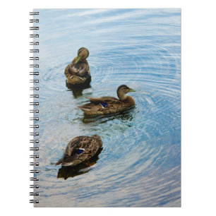 Drei Notebooks Notizblock