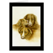 Drei Nova Scotia Duck Tolle Retrievers-Karte (Vorne)