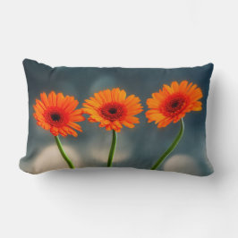 Drei Orange Gerberas in einer Reihe Lumbalkissen Lendenkissen