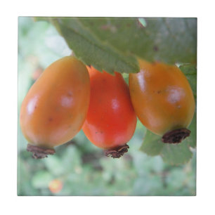 Drei orange Hagebutten Fliese