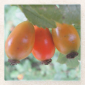 Drei orange Hagebutten Glasuntersetzer (Vorderseite)