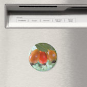 Drei orange Hagebutten Magnet (In Situ (Geschirrspüler))