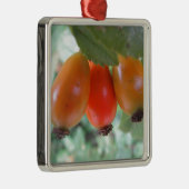 Drei orange Hagebutten Silbernes Ornament (Rechts)