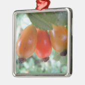 Drei orange Hagebutten Silbernes Ornament (Links)