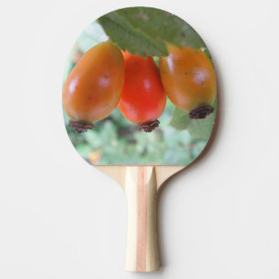 Drei orange Hagebutten Tischtennis Schläger