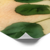 Drei Orange Rose Blumenposter Poster (Ecke)