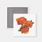 Drei orange Rose Magnet (Vorderseite/Rückseite)