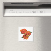 Drei orange Rose Magnet (In Situ (Geschirrspüler))