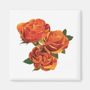 Drei orange Rosen Magnet