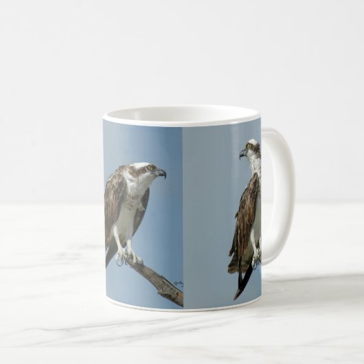 Drei Ospreyfalkebilder Kaffee-Tasse Kaffeetasse (VorderseiteRechts)