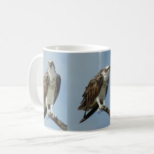 Drei Ospreyfalkebilder Kaffee-Tasse Kaffeetasse (Vorderseite Links)