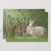 Drei Ostern-Kaninchen-Brunch-Einladung Einladung (Vorne/Hinten)