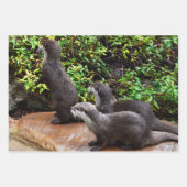 Drei Otter, Geschenkverpackung, Decoupage, Blätter (Vorderseite 3)