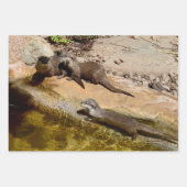 Drei Otter, Geschenkverpackung, Decoupage, Blätter (Vorderseite 2)