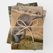 Drei Otter, Geschenkverpackung, Decoupage, Blätter (Beispiel)