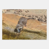 Drei Otter, Geschenkverpackung, Decoupage, Blätter (Vorderseite)