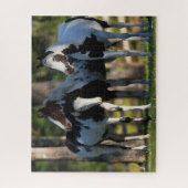 Drei Paint Pferde Stehend Puzzle (Vertikal)