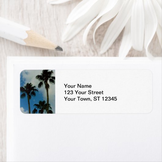 Drei Palmen (Insitu)