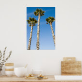 Drei Palmen Poster (Küche)