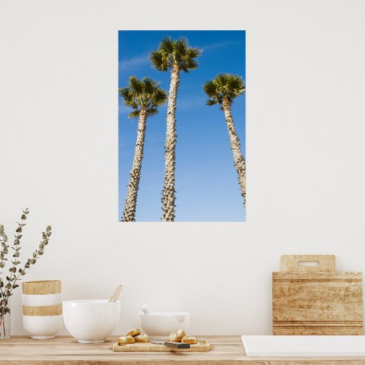 Drei Palmen Poster (Küche)