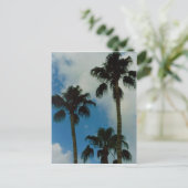 Drei Palmen Postkarte (Stehend Vorderseite)