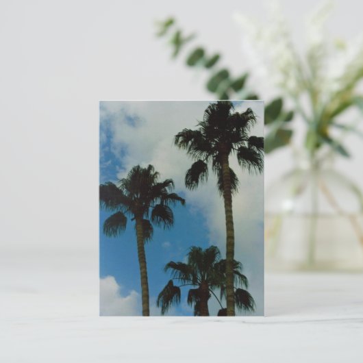 Drei Palmen Postkarte (Stehend Vorderseite)