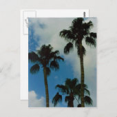 Drei Palmen Postkarte (Vorne/Hinten)