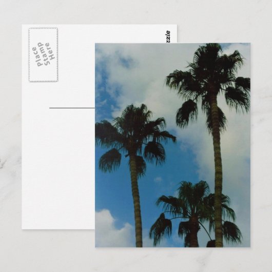 Drei Palmen Postkarte (Vorne/Hinten)