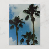 Drei Palmen Postkarte (Vorderseite)