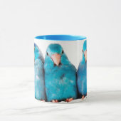 Drei Papageien pazifische blaue Parrotlet Tasse (Zentrum)