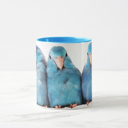 Drei Papageien pazifische blaue Parrotlet Tasse (Zentrum)