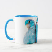 Drei Papageien pazifische blaue Parrotlet Tasse (Links)