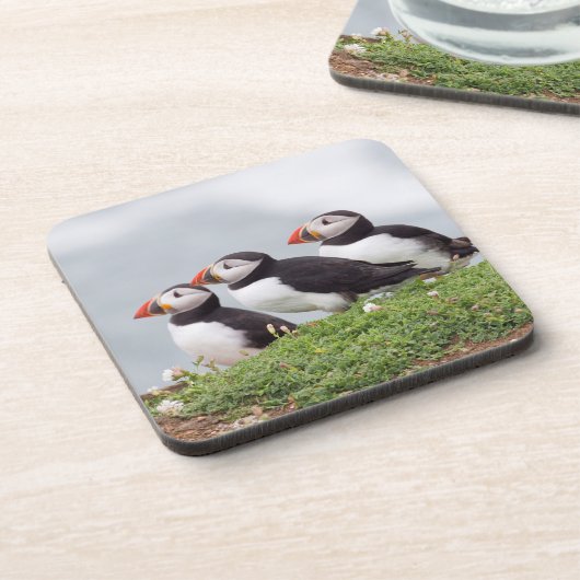 Drei Papageientaucher Untersetzer (Linke Seite)