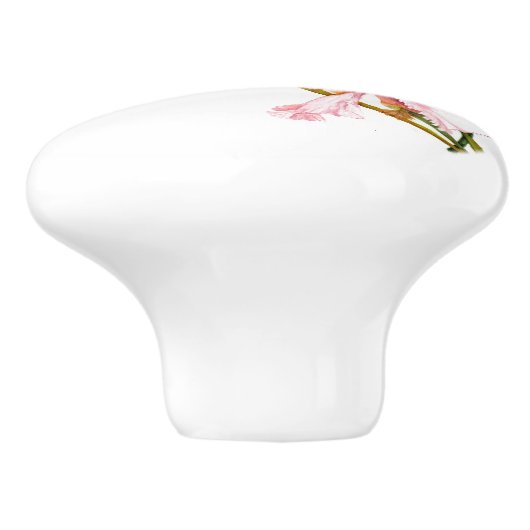 Drei Pastel Irische Keramik Pull Keramikknauf (Seitenansicht)