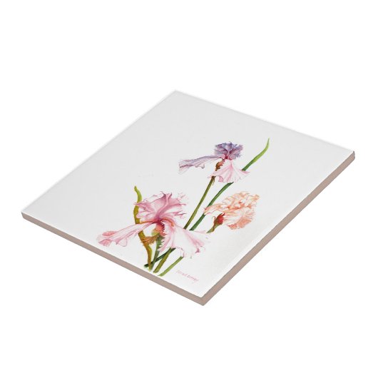 Drei Pastel Irische KERAMIK TILE Fliese (Seite)