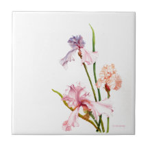 Drei Pastel Irische KERAMIK TILE
