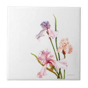 Drei Pastel Irische KERAMIK TILE Fliese