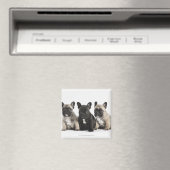 Drei Pedigree Welpen Magnet (In Situ (Geschirrspüler))