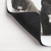Drei Pedigree Welppies Mousepad (Ecke)