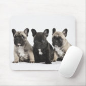 Drei Pedigree Welppies Mousepad (Mit Mouse)