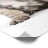 Drei Pedigree Welppies Poster (Ecke)