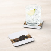 Drei Pekingese Hunde und Single Mops, der sich Getränkeuntersetzer (Rechte Seite)