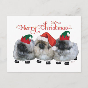 Drei Pekingese-Welpen Weihnachten