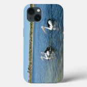 Drei Pelikane Schwimmen, iPhone 13 Fall Case-Mate iPhone Hülle (Rückseite)