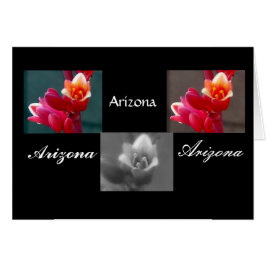 Drei Penstemon-Blume, Arizona